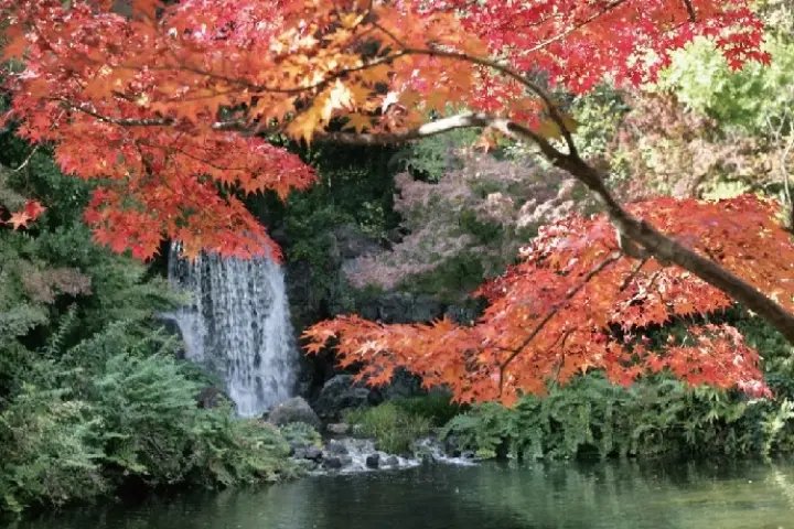🏞️ 만박기념공원 일본 정원 (니혼테이엔) 이미지 10